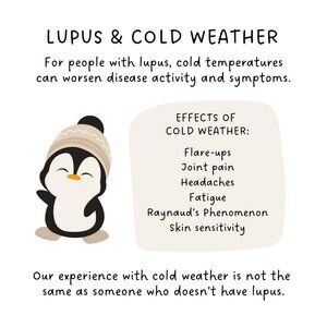 A long journey to warmth. Why i horde wool! @truffwoolpig